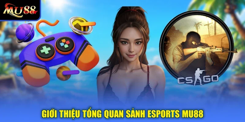 Giới thiệu tổng quan sảnh Esports MU88