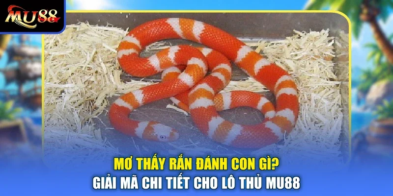 Mơ Thấy Rắn Đánh Con Gì? Giải Mã Chi Tiết Cho Lô Thủ MU88