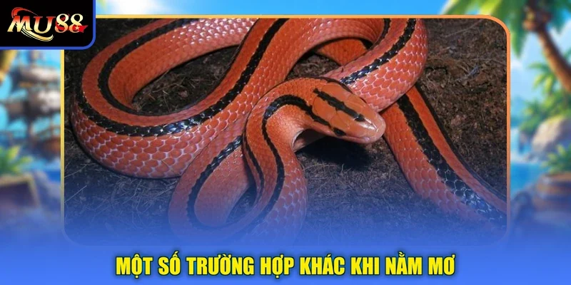 Một số trường hợp khác khi nằm mơ