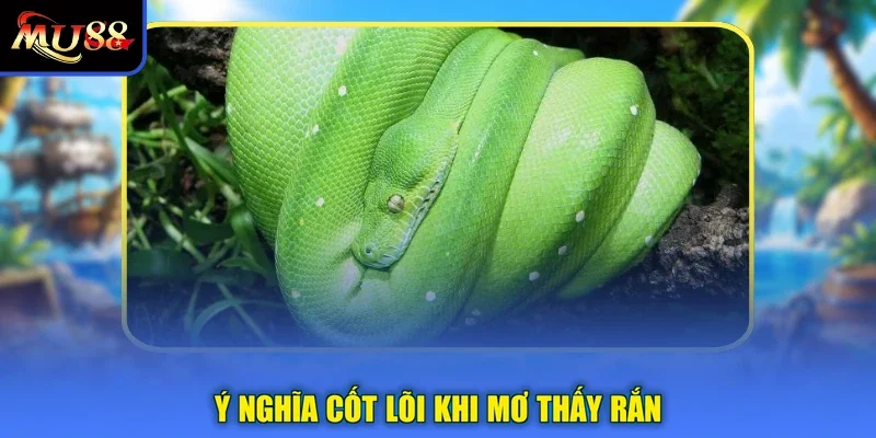 Ý nghĩa cốt lõi khi mơ thấy rắn